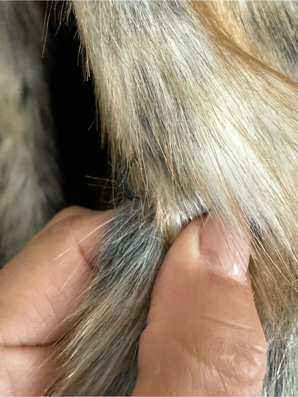 Fabulous Furs Mixed-Tone Faux Fur Vest in Taupe, Black & Cream - Picture 3 of 7